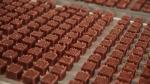 Dog Snacks Beef Meat Bites Blocky Shape Molding Machine