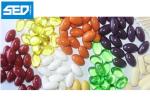 Pharma Grade Softgel Encapsulation Machine For Vitamin E Capsule Making