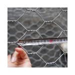 Galvanized Woven Gabion Net for Fencing 80x100mm Aperture and 2.0mm-4.0mm Wire