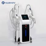 Weight Loss Double Cryotherapy Fat Freeze Pdt Cryoshape Fat Freezing Machine