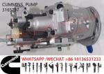 3165797 3165359 3165798 4951476 3419433 Diesel Engine Fuel Pump