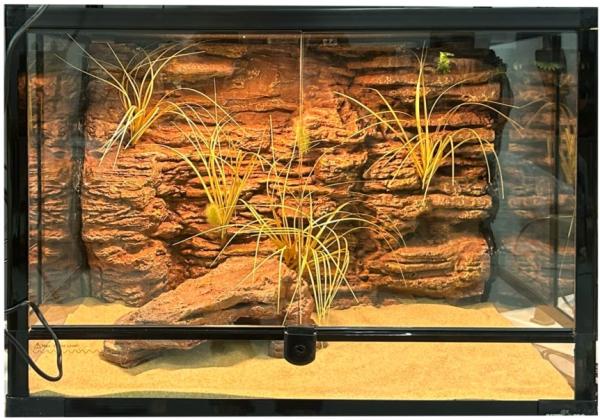Natural Looking Reptile Enclosure Background Anti Corrosion Lizard Cage