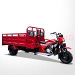 400kg Payload Capacity 250cc 3 Wheel Cargo Motorcycle for Commercial Cargo