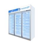 220V Meat Glass Door Freezer With Auto Defrost R209 Refrigerant