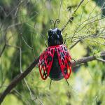 Artistic Animal Metal Insect Garden Ornaments Multicolor Eye Catching