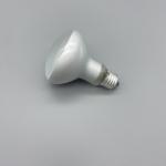 Blue Red Black Repti Basking Spot Lamp 75W Terrarium Heat Lamp