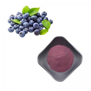 Wholesale Natural Blueberry Extract Powder Wild Organic Bluebery Extract Freeze Dried Blueberry Powder from china suppliers