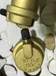 Brass Air Vent Valve For Solar Collector Automatic Air Pressure Relief Valve Air