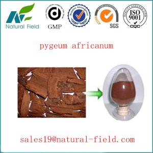 Wholesale Free sample! pygeum africanum bark extract powder by GC with CITES from china suppliers
