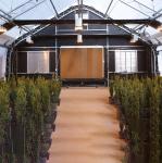 Heat Preservation Automatically Adjusted System Light Deprivation Greenhouse
