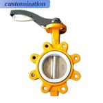 American Standard DN80 Lug Lined Fluorine Butterfly Valve Ltd71f46-16p for Gas