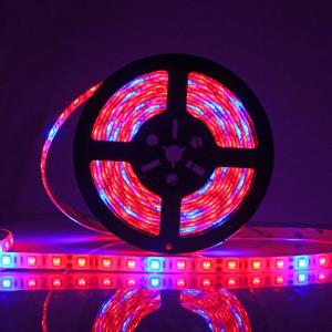 Wholesale Waterproof Constant Current LED Strip from china suppliers