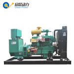 Biogas Electric Generator Biogas Power Engine Generator