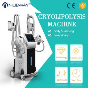 Wholesale Criolipolisis machine cryolipolysis weight loss body slimming machine with CE from china suppliers