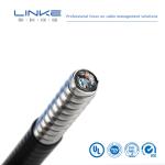XLPE/PVC/AIA/PVC Multi-conductor Armoured Control Cable Armoured Cable 600V with