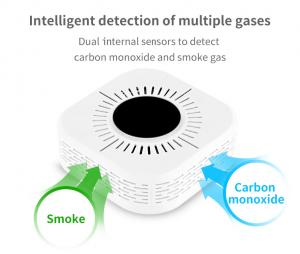 China Home Gas Alarm High Sensitivity Carbon Monoxide Sensor Smoke And CO Alarm on sale