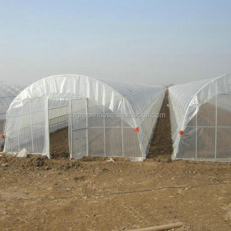 Large Height 3-10m Polytunnel Greenhouse The Ideal Growing Environment for Your Crops