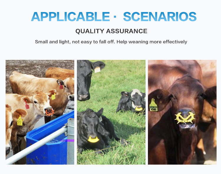 Cattle Cow Calf Nose Rings For Weaning Anti Sucking Washable Reusable
