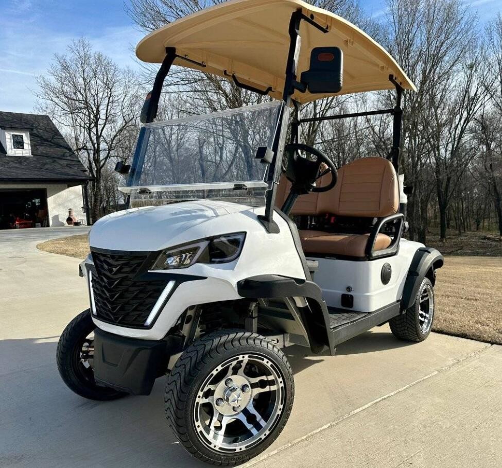 2 Seater Electric Golf Cart Optional Lithium Battery Mini Durable Electric Golf Buggy