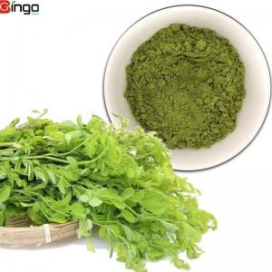 Wholesale 100% Natural Organic Moringa Leaf Powder for Health Benefits moringa herbal extract and powder from china suppliers