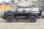 Tank 300 Young People Automatic Fuel Powered Car 5 Seats High Speed