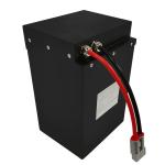 LiFePO4 Lithium Battery Packs OEM ODM 24V 36V 48V Electric Battery 30AH 40AH