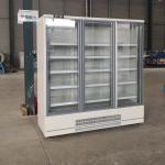 Digital Thermostat Upright Glass Door Freezer Commercial Merchandiser Freezer