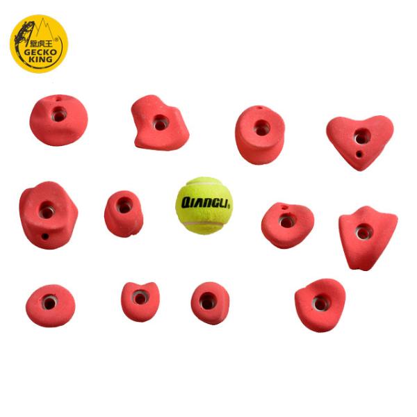 Max Capacity 100-500kg Climbing Bouldering Wall Holds for 6-55 Years Age Group