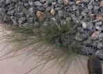 Scour Resistant Retaining Wall 2.7mm Plastic Coated Mesh