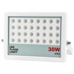 Stadium RGB Outdoor LED Flood Lights 10w 20w 100w Cold White Floodlight