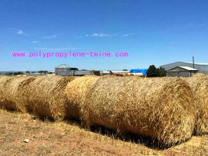 Wholesale Custom 2G/M Gardening S Twist Hay Baling Twine PP Split Film Rope LT013 from china suppliers