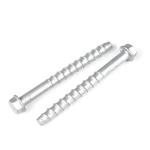 M12 150mm Steel Hex Head Heavy Duty Concrete Anchor Bolts for Temporary Support