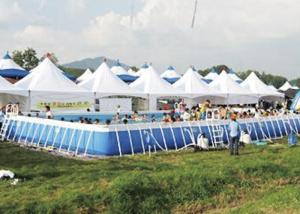 Wholesale Customized Amusement Park Metal Frame Pool With Dinosaur Water Slide from china suppliers