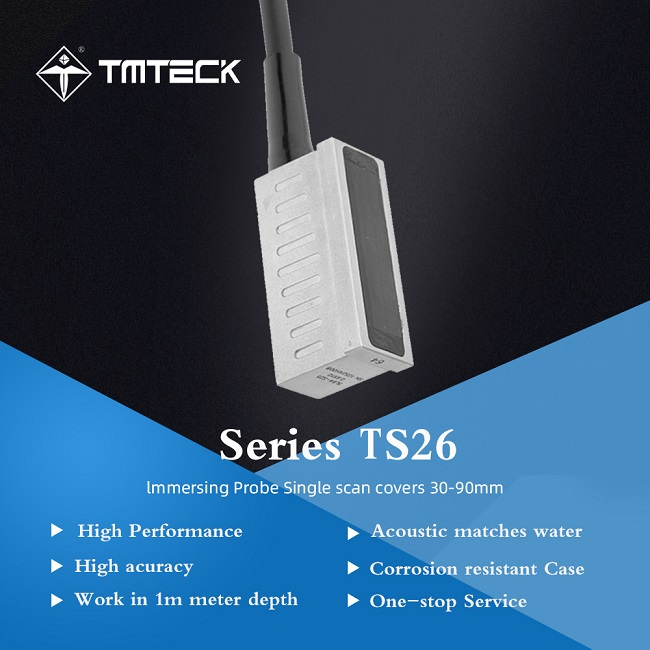 TS26 I2 Immersion Probe