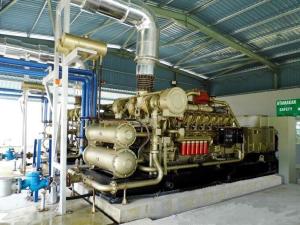 Wholesale Niger 1000kw Natural Gas Generator with 16V190zlt2-2 and ISO Certification from china suppliers