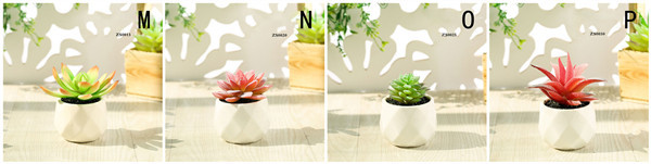 Mini Succulent Artificial Potted Plants Strange Shape Green Platsic Material