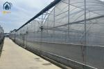 Multi Span Greenhouse Construction For Sustainable Farming And Soil Free Farming