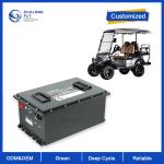 Electric Golf Carts 24V 36V 48V 60V 72V 96V LiFePO4 Lithium Battery Pack OEM ODM