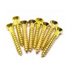 Drywall Brass Self Tapping Screws 125mm Length Stainless Steel Machine Screws