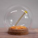 ODM Small Glass Dome Glass Bottle Cork Base Moistureproof