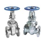 20mm-50mm PN16 API JIS 304/316 Stainless Steel Flange Gate Valve for Water or