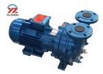 220v Single Phrase Gear Oil Transfer Pump , Electric Motor Water Ring Vaccum