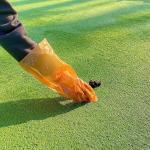 100% Compostable Cornstarchbags, Biodegradable Dog Poop Bags, Gloves Eco