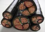 0.6/1KV Copper core PVC insulated PVC sheathed power cable (YJV), ECHU Cable