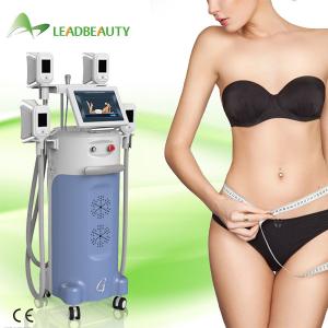 Wholesale Hot Selling Fat Freezing body shaping Cryolipolysis slimming machine from china suppliers