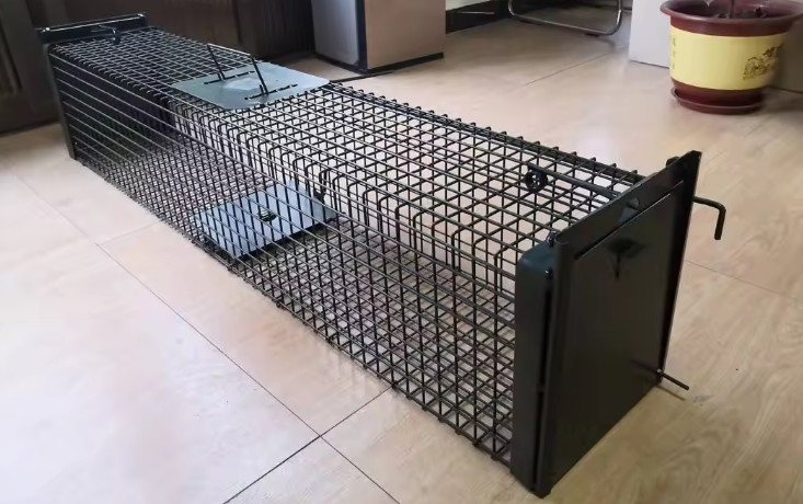 50cm Galvanized Large Cat Trap Cage Catch And Release Humane Animal Cage Trap
