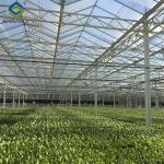 Sainpoly Hydroponic Lettuce Greenhouse Tunnel Green House Customized