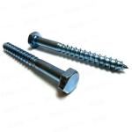 ISO9001 Certified Carbon Steel Din571 Hexagon Head Wood Screws Coach Screw