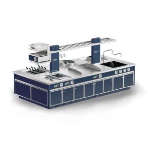 Wholesale Intergrated Island Cooker from china suppliers