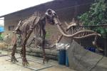 Sunproof Fiberglass Dinosaur Skeleton For Large Entertainment Venue Decoration